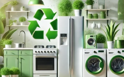 🌍 Pourquoi Acheter un Électroménager Usagé est un Geste Écoresponsable ?