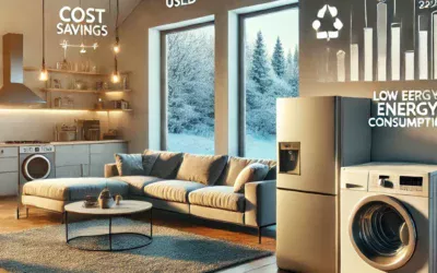 Résolutions 2025 : passer aux électros usagés pour faire des économies 🎉💡